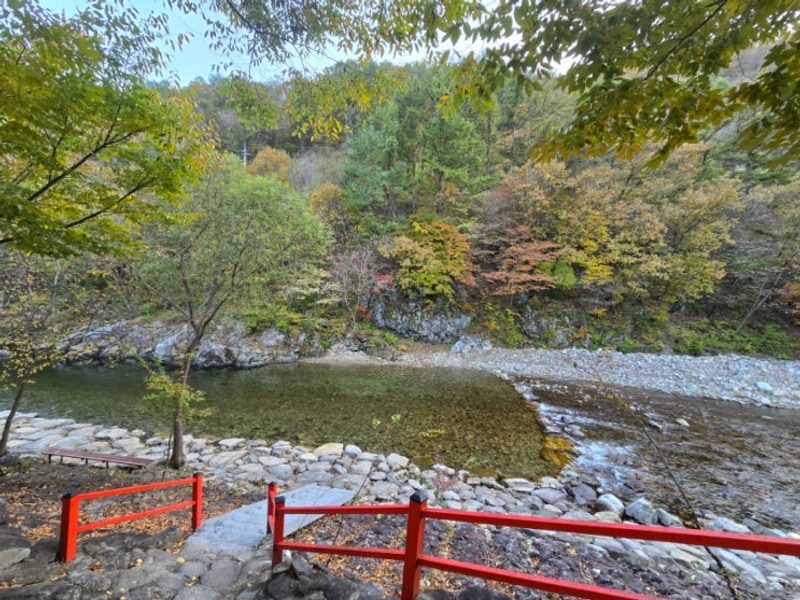 강월 영월 김삿갓계곡 캠핑장