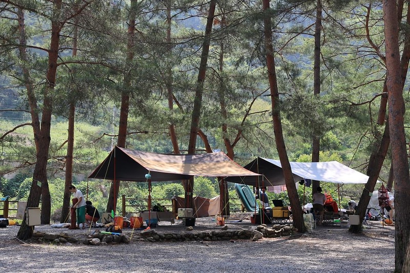 내리계곡 솔바람 캠핑장 시설 사진 30