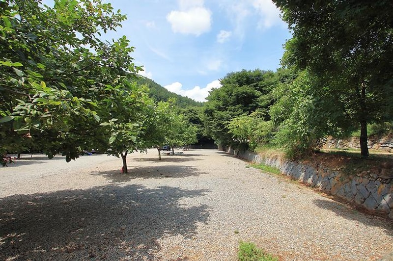 호두나무캠핑장 대표 사진