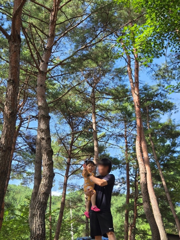 무주 홀리데이파크 캠핑장 2탄(솔섬1 여름캠핑)