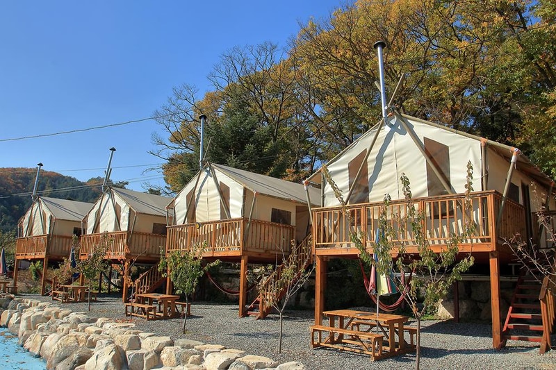 살구나무글램핑&펜션 시설 사진 7