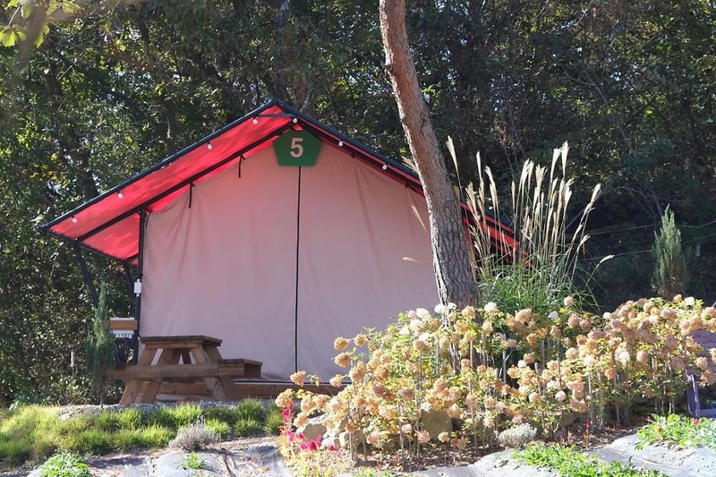 화순정원글램핑관광농원 시설 사진 2