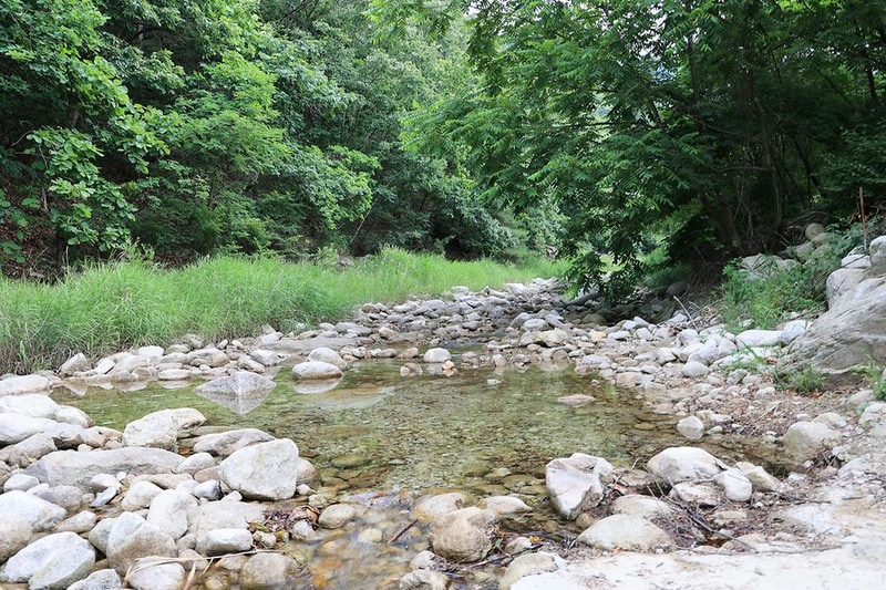 도마치 자연그대로 캠핑장 시설 사진 6