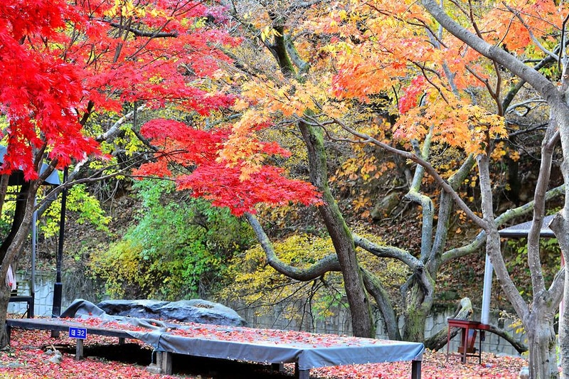 유명산밸리캠핑장 시설 사진 9