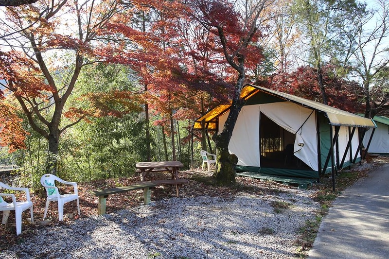 곡성 키즈글램핑 시설 사진 5