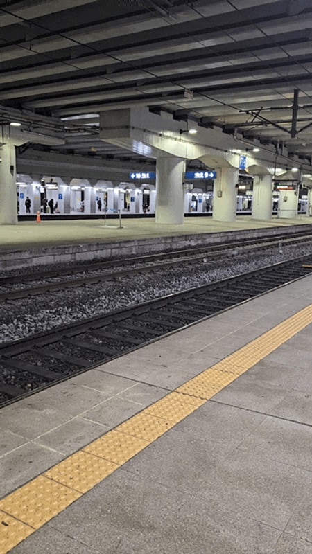 포항 북구 벚꽃캠핑의 성지 칠포오토캠핑장(4/4-4/5)