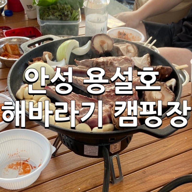 안성 신상 캠핑장 용설호 해바라기 캠핑장