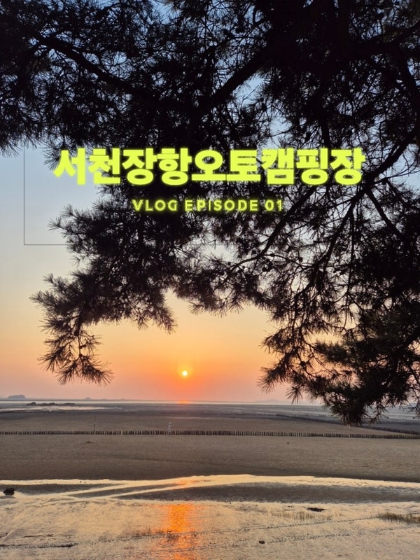 서천 장항오토캠핑장 후기 – 노을 아래 진짜 힐링의 시간