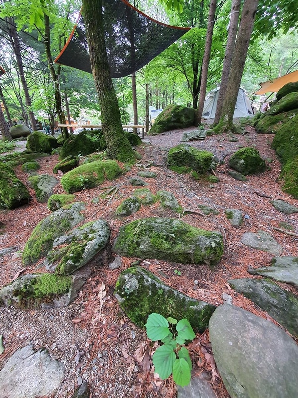 단양 천동계곡 캠핑장 그린농원 시설 사진 33