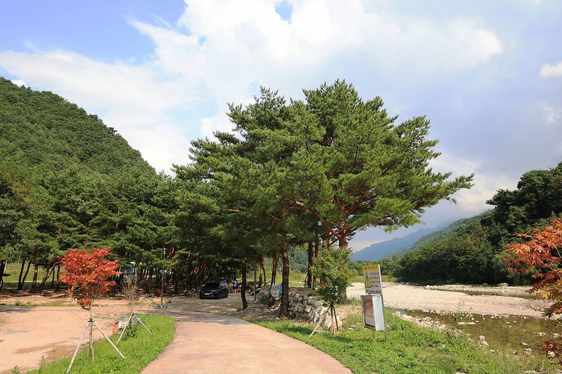 한계2리 솔밭야영장 시설 사진 2