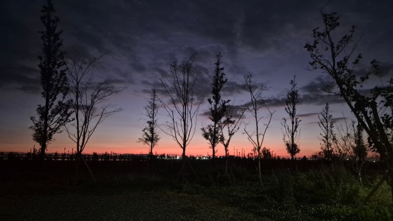 2025.11.21~11.23 평택항 국민여가캠핑장