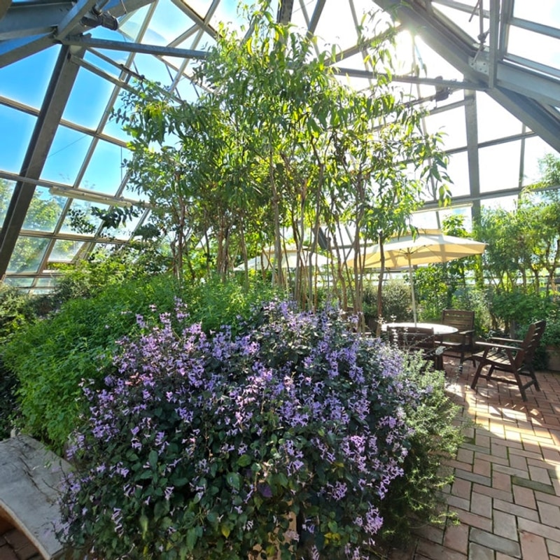 힐링 명소 일자산 허브천문공원/강동 그린웨이 가족캠핑장