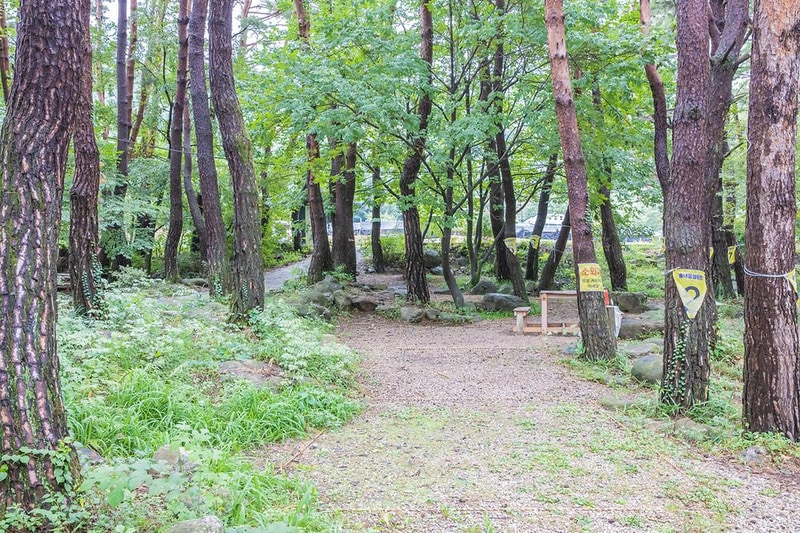 솔내음 캠핑장 시설 사진 9