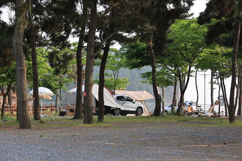 바다풍경관광농원 시설 사진 16