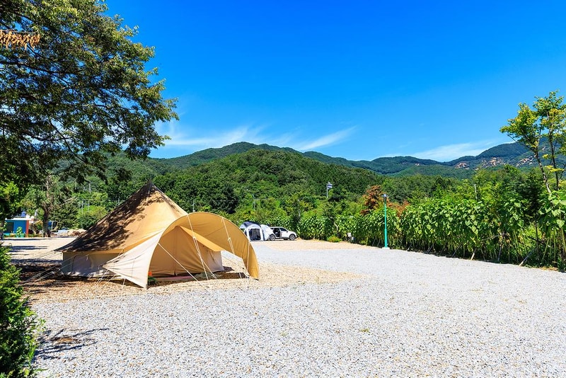 솔부엉이 캠핑장 시설 사진 5