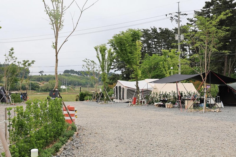 도담2캠핑장 시설 사진 15