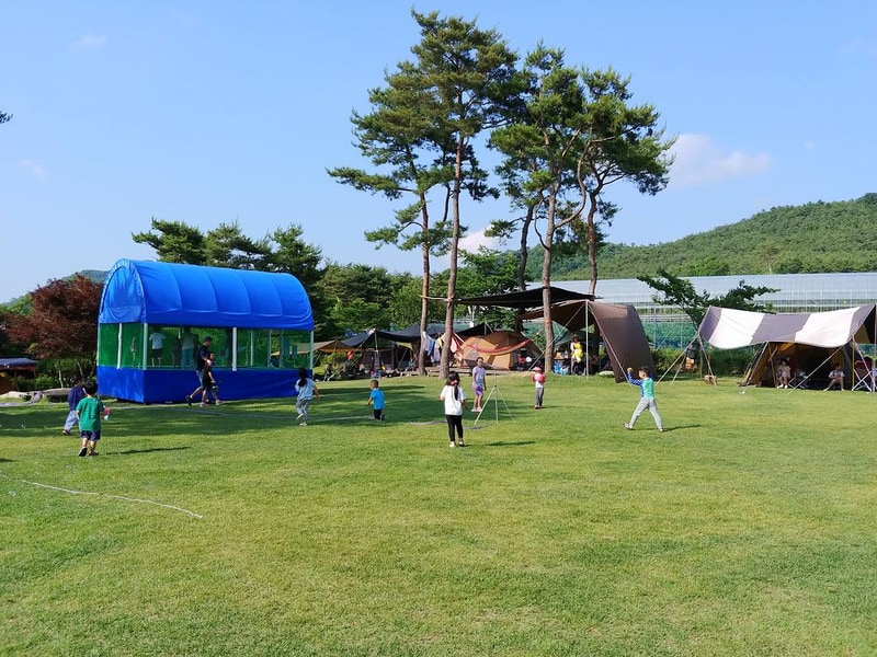 숲속의베리팜 시설 사진 3