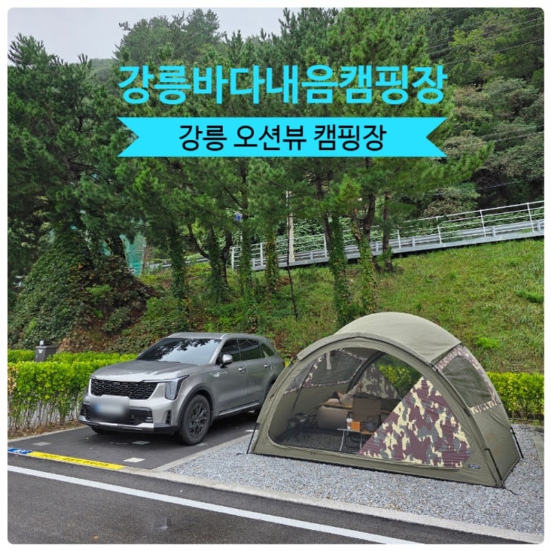 오션뷰 캠핑장 일출과 파도소리가 함께하는 강릉바다내음캠핑장