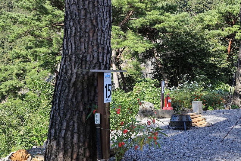 영월한반도캠핑장 시설 사진 5