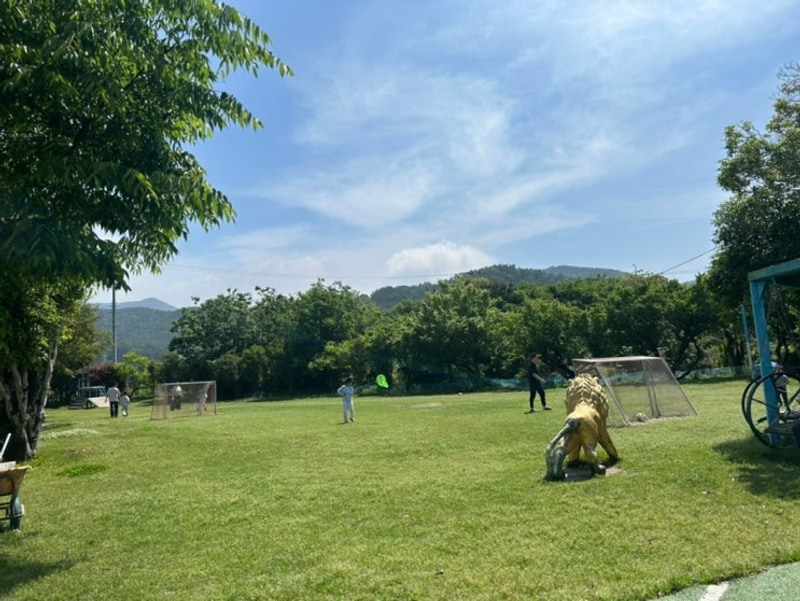 아이들 뛰어놀기 너무 좋은 고성 잔디캠핑장 데크사이트11...