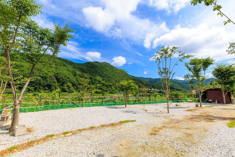 양지뜰캠핑장 시설 사진 14