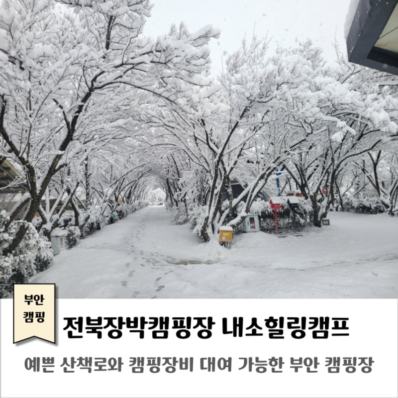 부안 캠핑장｜내소힐링캠프｜예쁜 산책로와 캠핑장비 대여...