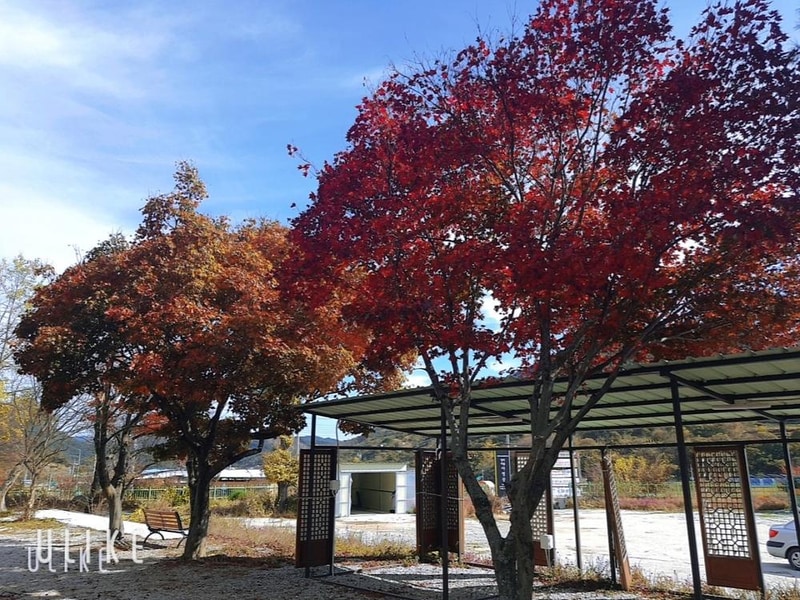 양지마을야영장 시설 사진 1