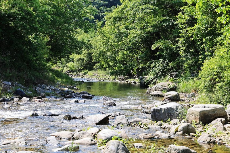 숲에서 놀자 시설 사진 12