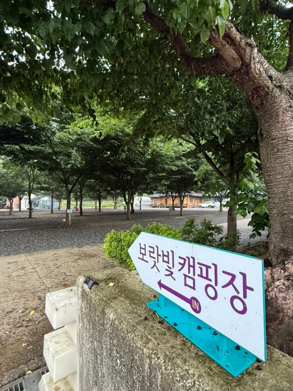 인제 캠핑장 추천 애견동반 가능한 인제 보랏빛 오토캠핑장