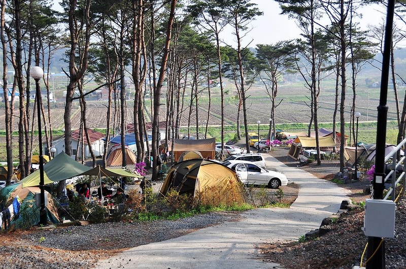 무창포솔원캠핑장 시설 사진 6