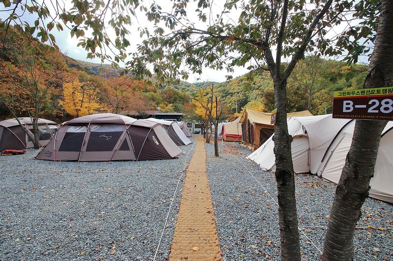 그린하우스캠핑장 시설 사진 7