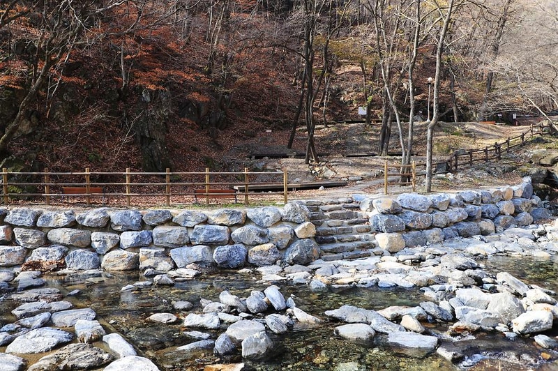 강원도산림개발연구원 집다리골자연휴양림 시설 사진 13