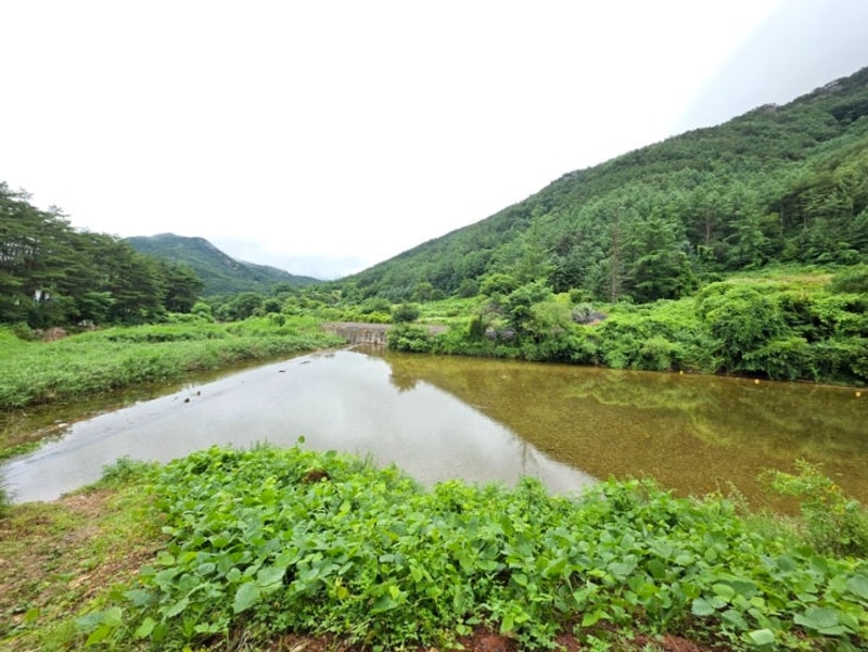 경북계곡추천 아이랑 다시 함께오고싶은 상주 문장대 야영장