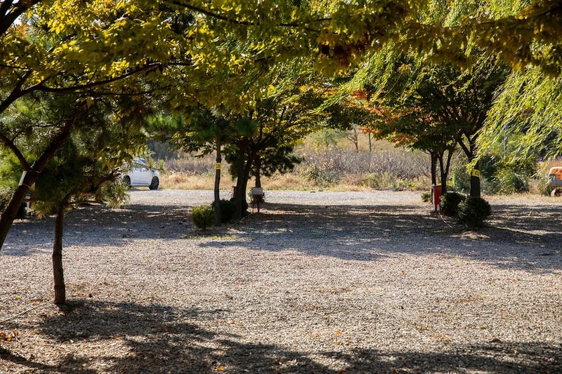 선재오토캠핑장 시설 사진 13