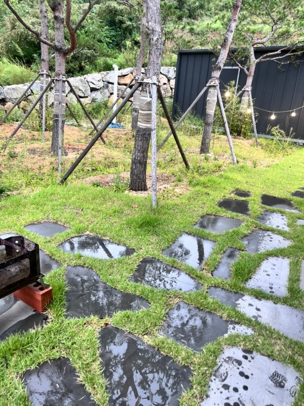 [속초] 숙소 카라반 내돈내산 후기