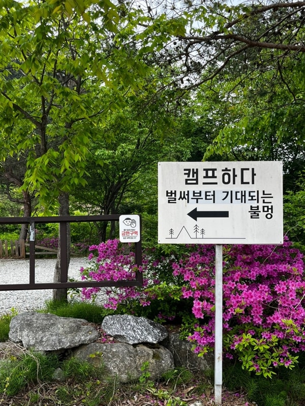 강원도 홍천 캠핑장, 캠프하다/어린이날 캠핑