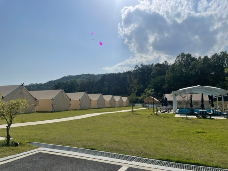 힐링을 위한 대구 근교 글램핑장 : 칠곡 왜관 힐포레 글램핑장