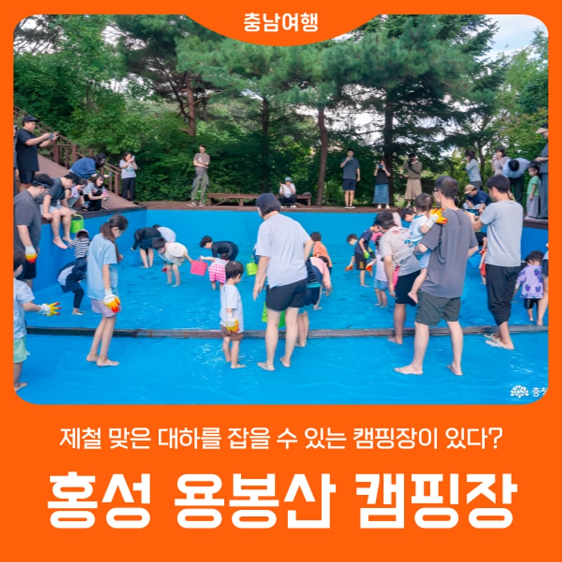 [홍성 용봉산 캠핑장] 제철 맞은 대하를 잡을 수 있는 캠핑장이...