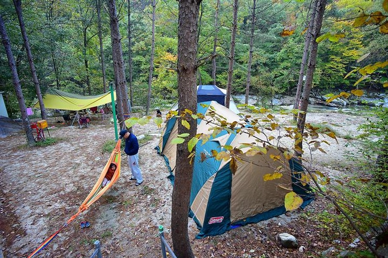 주은캠핑장 대표 사진