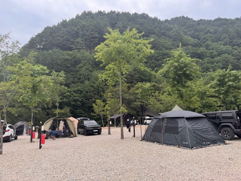 홍천 을수골 별빛계곡 캠핑장 | 홍천 계곡 캠핑장 추천...