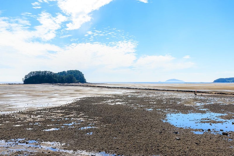 선도리 갯벌 글램핑장 시설 사진 3