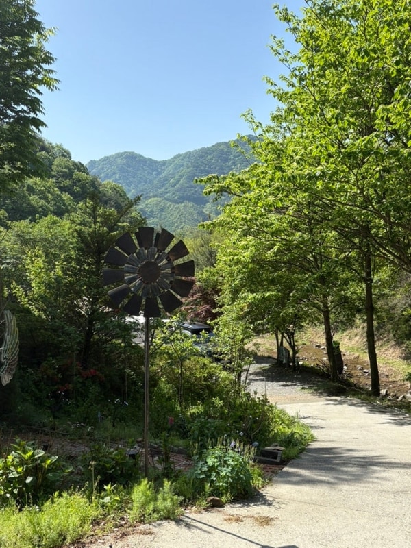경북 고령 깨끗하고 조용한 힐링 캠핑장 ‘숲에 안기다’