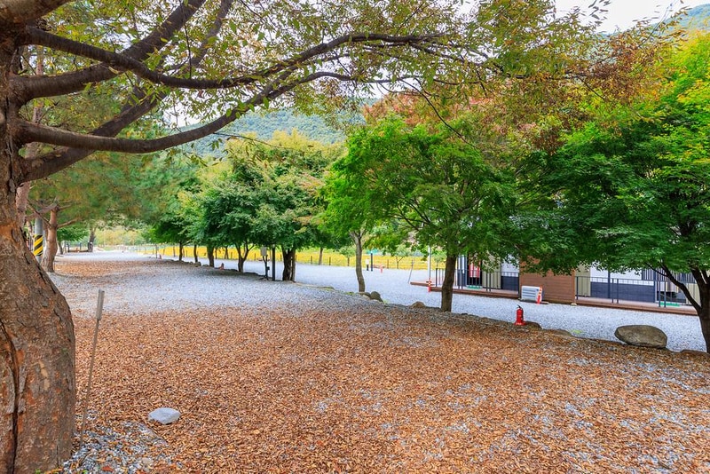 포레스트캐빈앤캠프 시설 사진 15