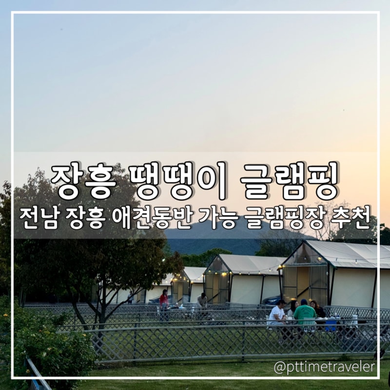 전남 광주 근교 장흥 여행 땡땡이 글램핑 최대규모 애견동반...