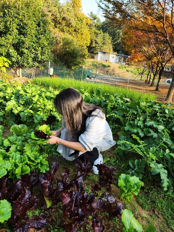 굼벵이캠핑장 시설 사진 11