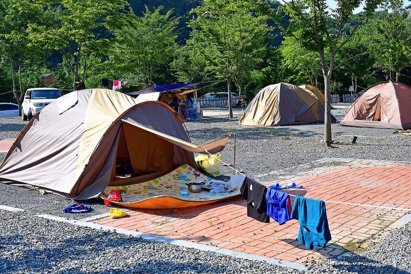 고산 무궁화 오토캠핑장 시설 사진 4