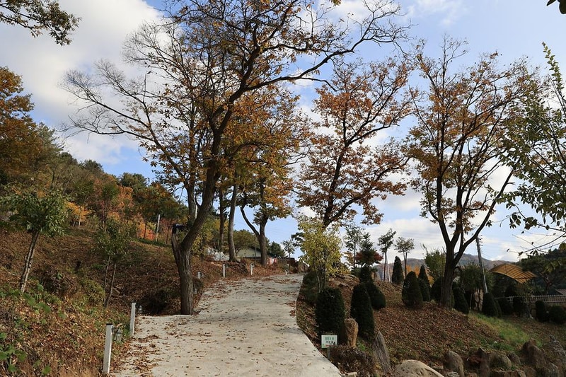 금동휴양림캠프3 시설 사진 6