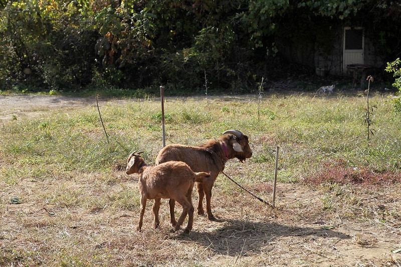 은사시캠핑장 시설 사진 6