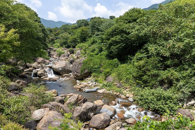 계곡 좋은 펜션 야영장 시설 사진 2
