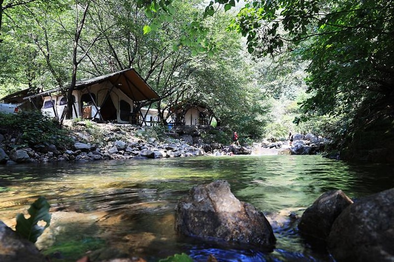 팜스테이 글램핑 앤 펜션 대표 사진